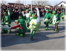 Pustni karneval v brežicah
