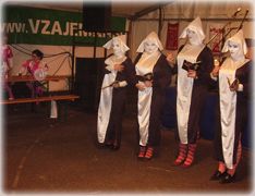 Dobovski fašjenk 2010, slike dobovskega fašjenka