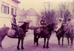 Loška konjenica 1964